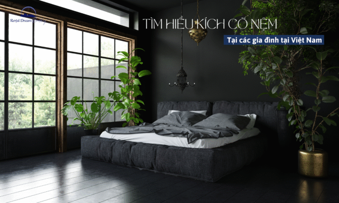 Các Kích Cỡ Nệm Phổ Biến Tại Các Gia Đình Việt Nam